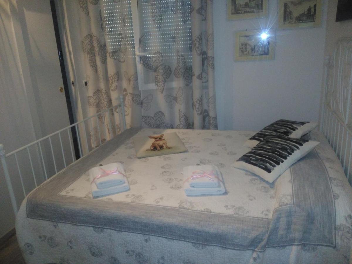 B&B San Vitale Bologna Bagian luar foto
